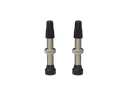 WTB Standard Tubeless (RVC) szingó szelep [ezüst, 34 mm]